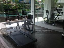 7 on Chapel (D15), Apartment #125661442